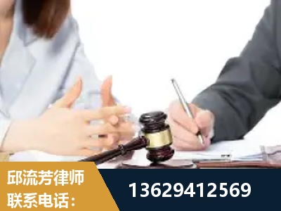 高平-新型网络犯罪