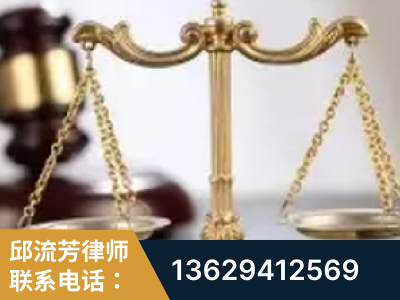 高平-委托诉讼代理人出庭
